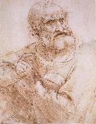 LEONARDO da Vinci Study of an apostle oil on canvas